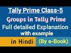 28 groups in Tally explain | Groups in Tally with example PDF