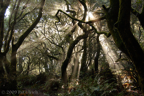 I need your help -- please vote for this image!