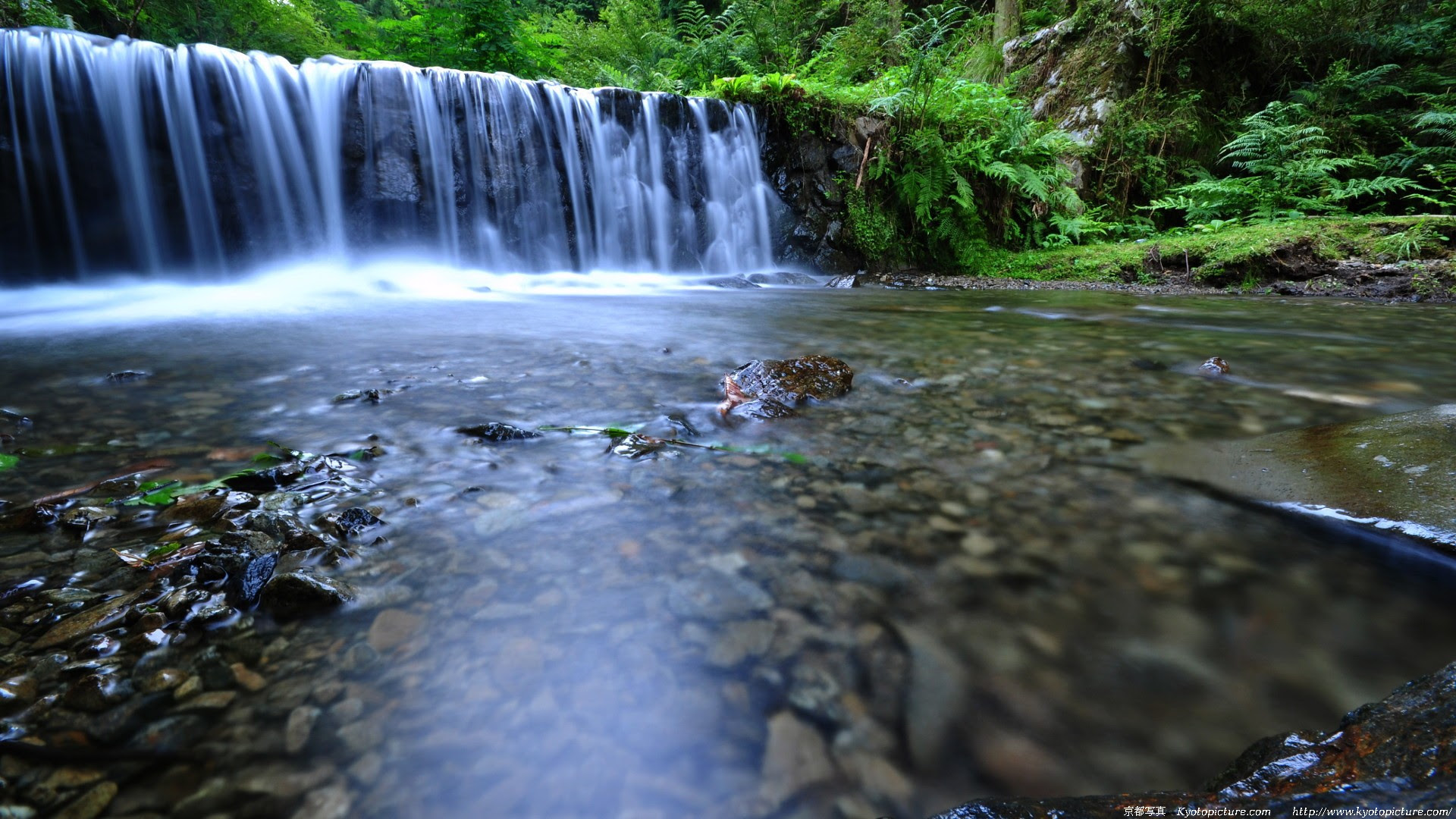 夏の壁紙写真