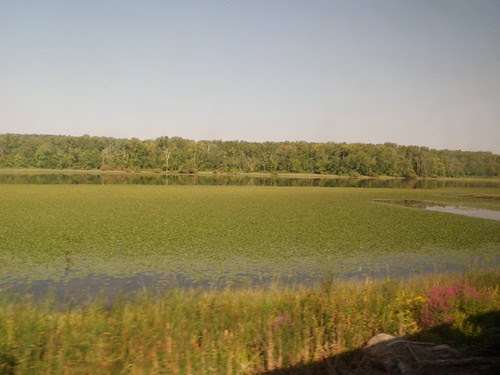 Amtrack New York City to Buffalo