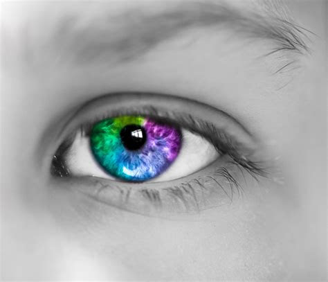  the eye color chart hubpages