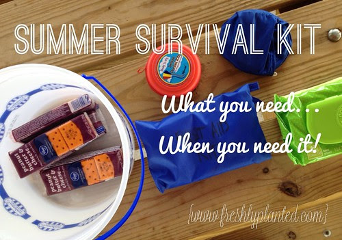 Summer Survival Kit