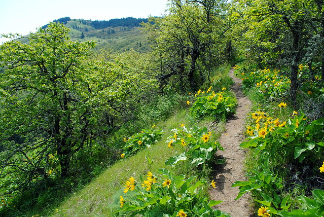 Tom McCall Preserve - Eastern Columbia River Gorge