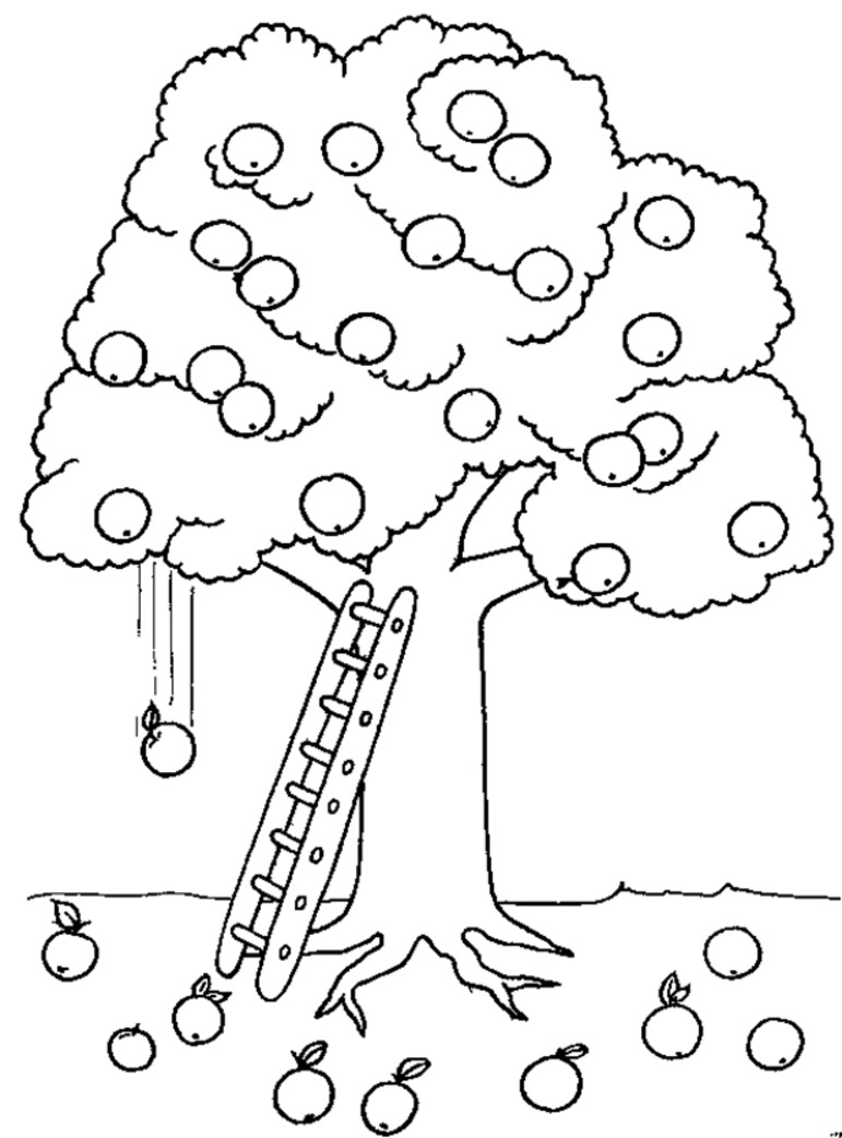 Fruit Tree Coloring Page at GetColorings.com | Free printable colorings