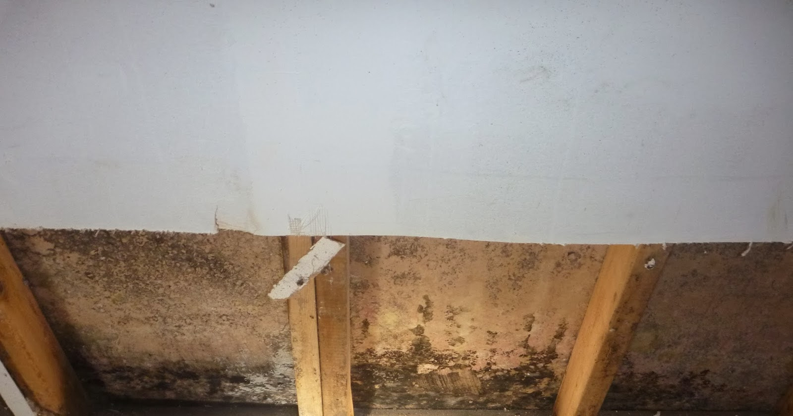 The Basement Smell Why Basement Air Is Unhealthy IndoorDoctor