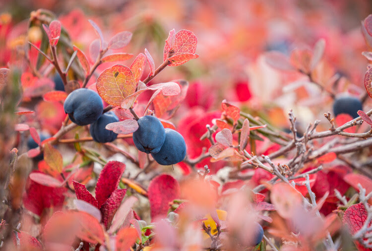 How to Find More Creativity Through Using Less Gear