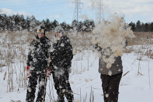 Family snowshoe