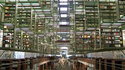BIBLIOTECA VASCONCELOS 5