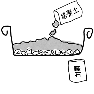 プランターで育てる