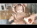 画像をダウンロード 生後11ヶ月 赤ちゃん 671480-生後11ヶ月 赤ちゃん 旅行