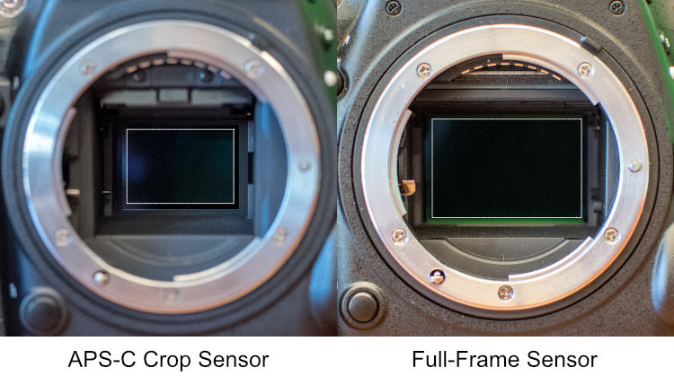How to Understand the Differences Between Full-Frame Versus Crop-Sensor Cameras