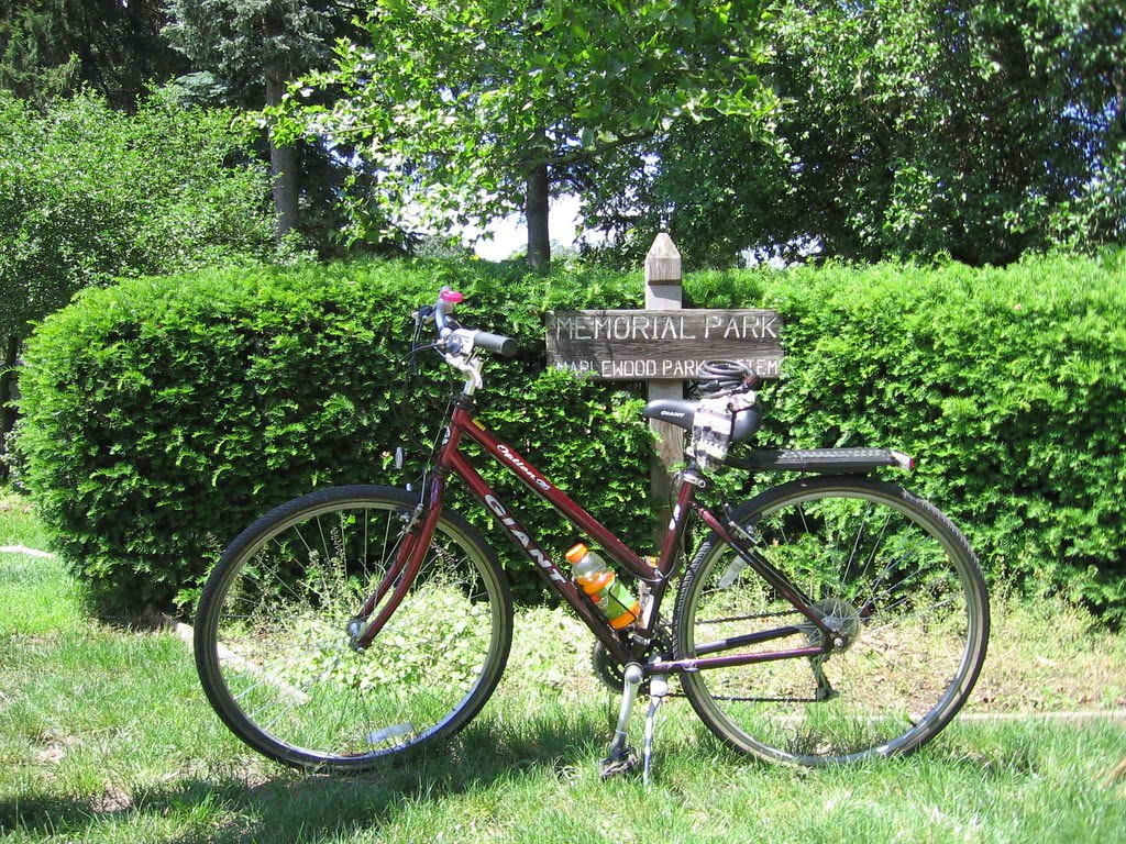 Sock and bike in Maplewood