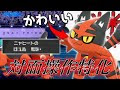 [最も選択された] ポケモンgo ムクホーク おんがえし 256012-ポケモンgo ムク
ホーク おんがえし
