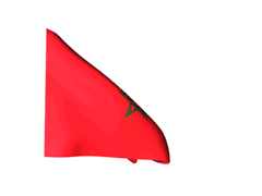 Morocco_240-animated-flag-gifs