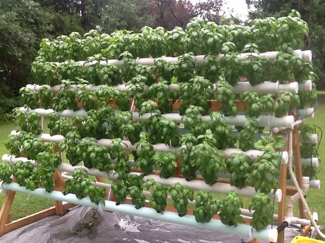 How To Grow 168 Plants In A 6 X 10 Space With A DIY A 