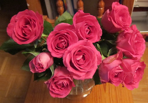 red roses by Anna Amnell