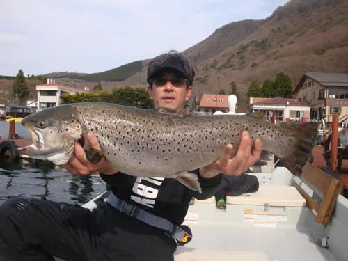 芦ノ湖のトラウト釣り 芦ノ湖ネット