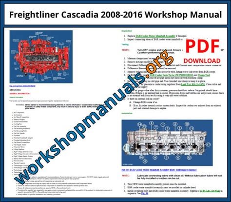 PDF Freightliner Cascadia Service Manual