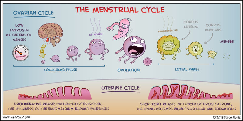 Image result for menstrual cramps comic