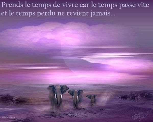 Le Temps Est Précieux Ne Le Gaspillez Pas