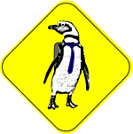 pingu
