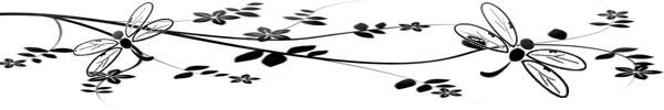  photo monicasdivider_zps8db51942.png