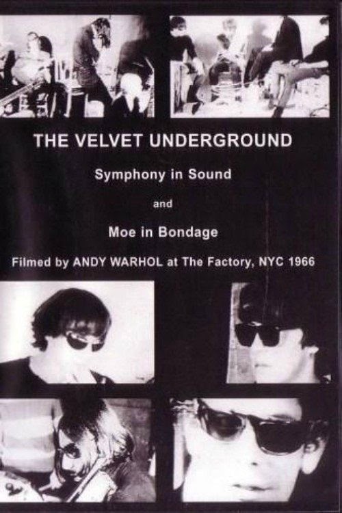 Guarda The Velvet Underground and Nico 1966 Film Completo Streaming
Italiano HD Gratis ITA