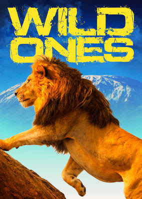 Wild Ones - Season 1