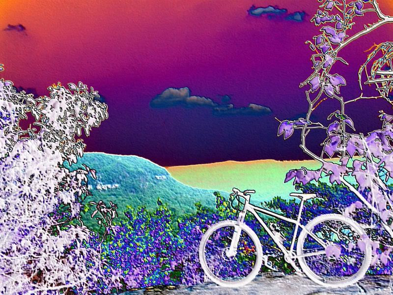 Ride