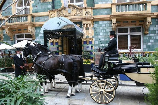Horse Carriage Rides (79777512)
