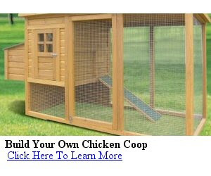 Double-Story Ark Coop