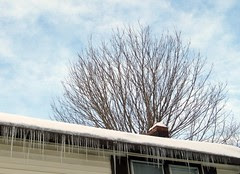 Icicles_12711e