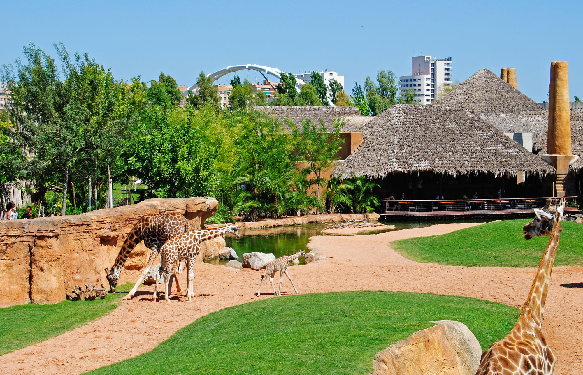 24+ Animalier, Parc