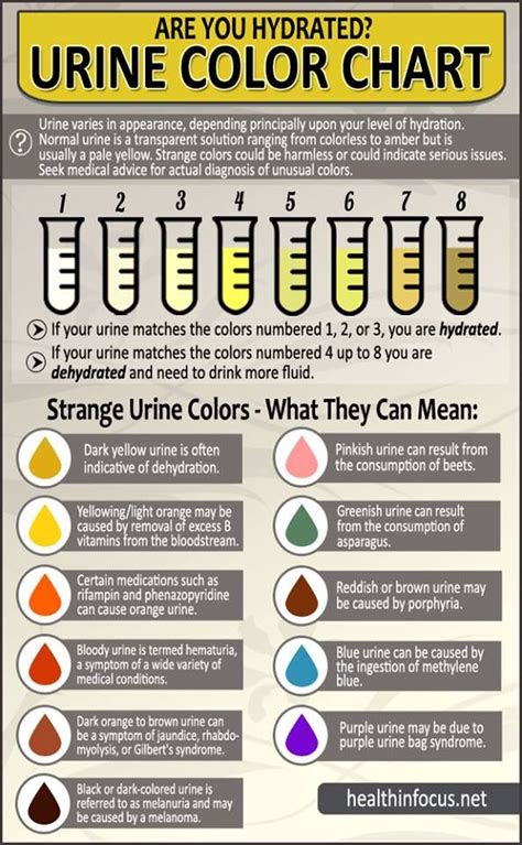  are you hydrated strange urine colors and their meaning httpwww
