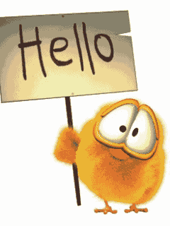 Hello! Comments Pictures