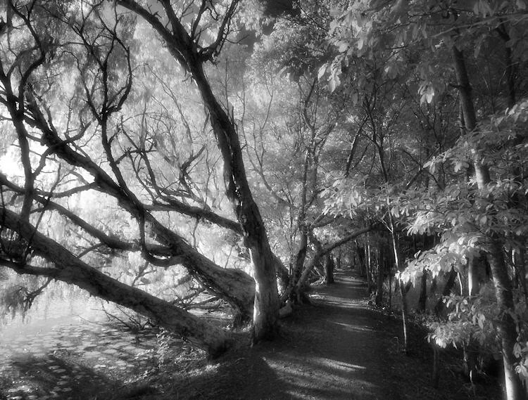 Enhancing your Black and White images with Infrared Photography