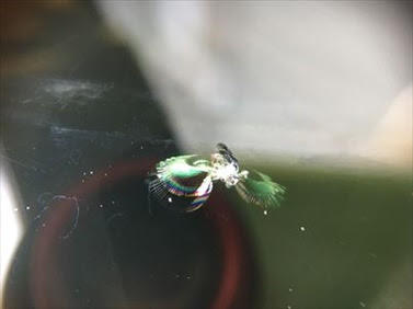 飛び石にやられちゃったー でもdiyでガラスリペアやってみたら結構いい感じに修復できたでぇ 埼玉特派員レポート ５０オヤジの備忘録