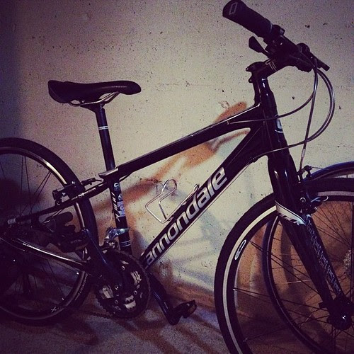 Day 30 // something that made me smile this year // My bike
