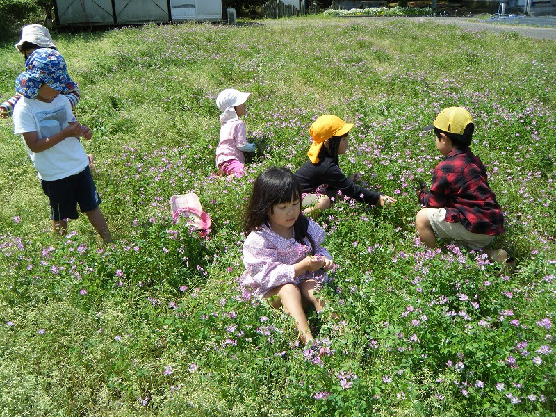 レンゲの花遊び 阿波岐原森林公園 市民の森 Shimin No Mori