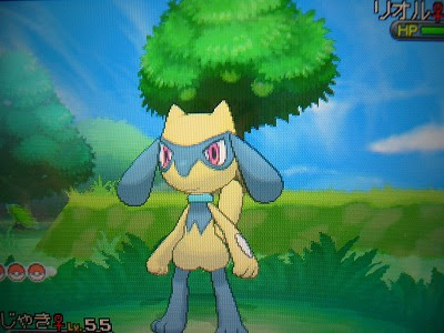 よもぎの色ポケコレクションブログ リオル