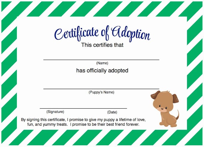 Printable Pet Adoption Certificate