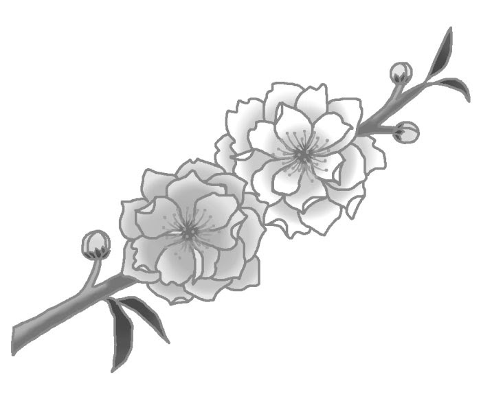 春の花1 桃の花 紅白 桃の節句 ひな祭り 花イラスト お花と季節のお礼状