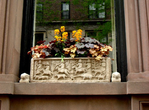 Window Boxes in Brooklyn Heights