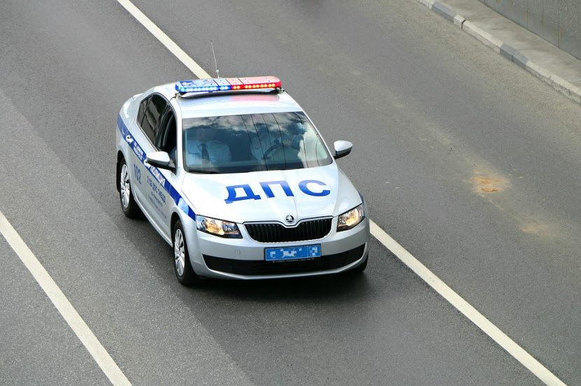 Поиск штрафов ГИБДД по номеру авто или водительскому удостоверению