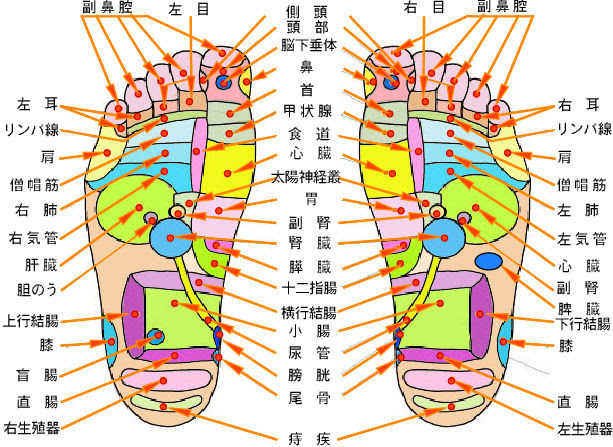 足裏のツボガ痛いんです 閣下の徒然日記