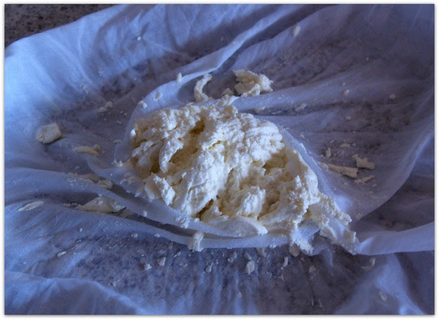 cheese 2    
