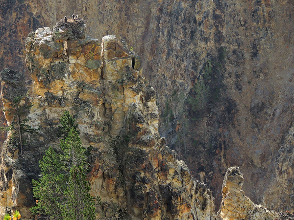 Canyon View