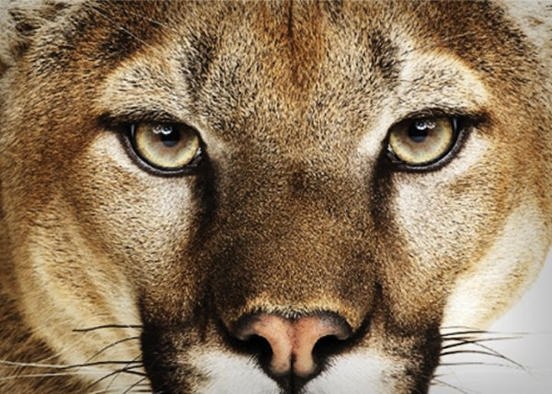 Mountain Lion Mac Osx