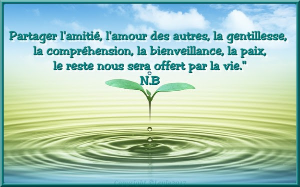 Citation Partager L Amitie L Amour Des Autres