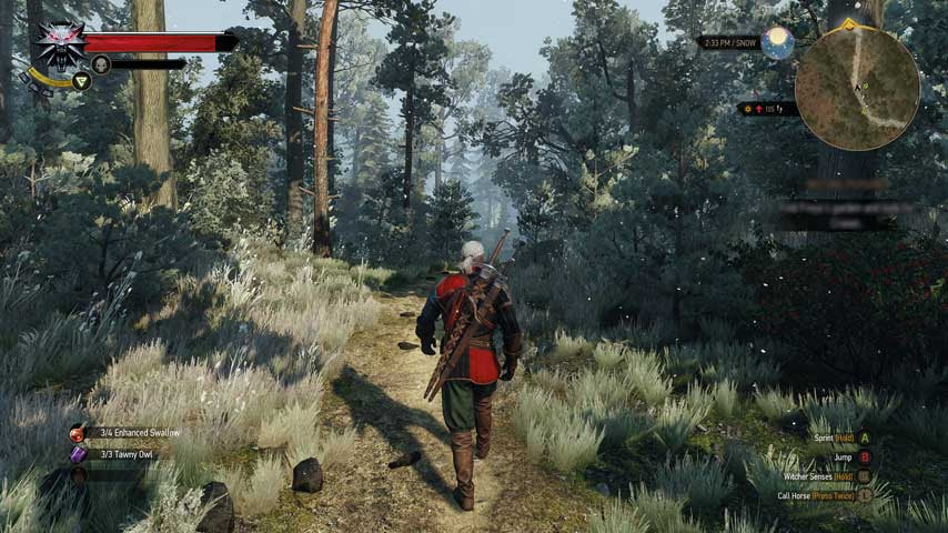 the_witcher_3_wild_hunt_review_screens_18